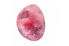 Blood-pebbles11